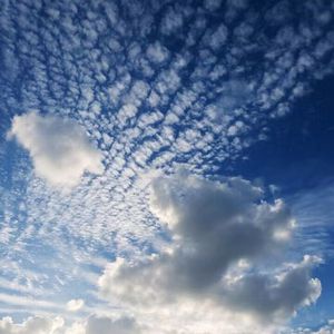 沟厕toilet丅ube美女
